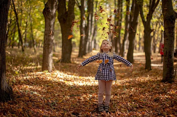 Afbeelding: Herfstvakantie 2025 (herfst2025.jpg)